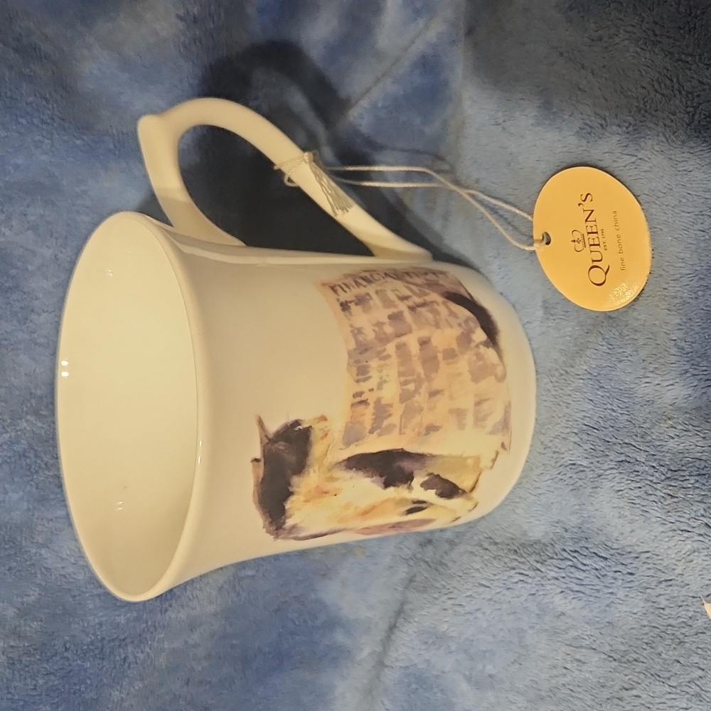Queens fine bone China Frolicking Cats Mug